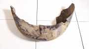 Radhausschale - Hinten Rechts Citroen Xsara, I 2000.09 - 2005.03 facelift Gebraucht,