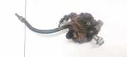 Kraftstoffpumpe Opel Zafira, B 2005.07 - 2008.01 0445010156, 0055206679