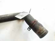 Kühlerschlauch Ford C-MAX, 2003.01 - 2007.06 Gebraucht ,