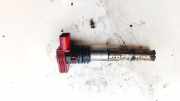 Zündspule Audi A4, B6 2000.11 - 2004.11 06C905115L, 12433ESM