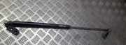 Gasdruckfeder Kofferraum Mazda 626, 1997.04 - 2002.10 3D07,