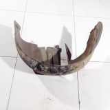 Radhausschale - Vorne Linke Audi A2, 2000.02 - 2005.08 Gebraucht,