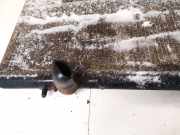 Wasserkühler Peugeot Partner, I 2003.01 - 2009.06 facelift Gebraucht,