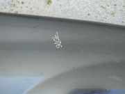 Kotflügel - Vorne Rechts Renault Megane, II 2002.11 - 2006.06 pilkas,