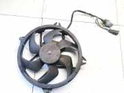 Kühlerlüfter Lüftermotor Peugeot 307, 2005.06 - 2008.06 Gebraucht,