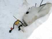 Scheibenwaschbehälter Vorne Wischwasserbehälter Renault Scenic, I 1996.01 - 1999.09 Gebraucht ,