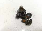 Schraube Druckplatte Renault Clio, 2001.05 - 2004.11 facelift Gebraucht,