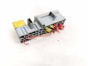 Sicherungskasten Renault Scenic, II 2003.06 - 2006.06 13251,