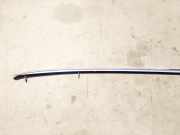 Dachreling Linke Audi A6, C6 2005.01 - 2008.10 4F9860021E,