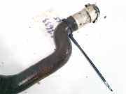 Kühlerschlauch Renault Espace, III 1996.11 - 2002.10 g1250091,