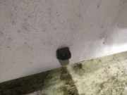 Waschwasserdüse Scheibenreinigung Fiat scudo 1997 - 2007 Gebraucht,