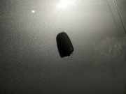 Waschwasserdüse Scheibenreinigung Ford Mondeo, 2007.03 - 2013.06 Gebraucht ,