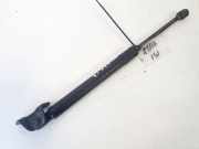 Gasdruckfeder Kofferraum Kia Ceed, I 2006.12 - 2010.05 Gebraucht,