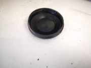 Blende Scheinwerfer - Vorne Renault Espace, IV 2002.11 - 2014.12 153874,