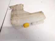 Ausgleichsbehälter Nissan X-Trail, 2001.06 - 2007.06 Gebraucht,