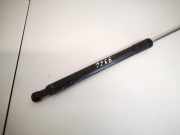 Gasdruckfeder Kofferraum Renault Laguna, III 2007.10 - 2010.11 844300006r,