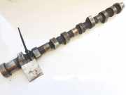 Nockenwelle Nissan Almera Tino 2000.08 - 2003.09 Gebraucht,