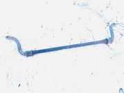 Stabilisator Vorne Kia Sorento, I 2002.01 - 2009.06 Gebraucht,