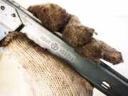 Fensterheber - Hinten Rechts Citroen Xsara, I 2000.09 - 2005.03 facelift 112951,