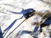 Seilzug für Schaltgetriebe Volvo XC90, 2002.10 - 2007.06 9480954,