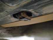 Türfangband Türbremse Türstopper - Hinten Rechts Mercedes-Benz ML, W163 1998.02 - 2005.06 Gebraucht ,