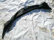 Windlauf Wischerabdeckung Fiat Ulysse, II 2002.06 - 2014.12 Gebraucht,