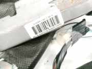 Kopfairbag - Vorne Linke Renault Megane, II 2002.11 - 2006.06 8200105859B,