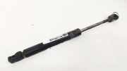 Gasdruckfeder Kofferraum Audi A4, B5 1999.09 - 2001.08 facelift Gebraucht ,