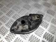 Türinnengriff - Hinten Rechts Renault Laguna, II 2001.03 - 2006.05 8200000724, 98007101