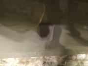 Waschwasserdüse Scheibenreinigung Seat Alhambra, 1996.08 - 2000.05 Gebraucht,