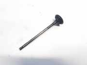 Auslassventil Renault Vel Satis, 2002.06 - 2009.12 Gebraucht,