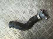 K?hlerschlauch Toyota RAV-4, III 2005.11 - 2012.12 Gebraucht,