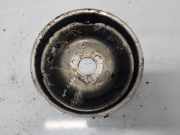Riemenscheibe für Wasserpumpe Audi A6, C6 2005.01 - 2008.10 06E121031A,06E121031 A