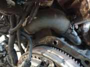 Kühlerschlauch Volvo S40, 2004.01 - 2007.03 Gebraucht,