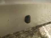 Waschwasserdüse Scheibenreinigung Toyota Corolla Verso, II 2001.09 - 2004.05 Gebraucht,