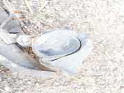 Hupe Citroen Evasion, I 1994.01 - 2002.12 CH2035A73345,CH2035-A73345