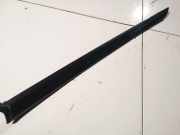 Schutzleiste Tür - Vorne Linke Mitsubishi Lancer VIII, 2007 - 2015 spc02174,