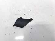 Türgriff Außen Endkappe Tesla Model S, I 2012.01 - 2016.06 100794200D, 1007942-00-D