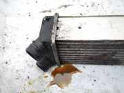 Ladeluftkühler Peugeot 307, 2005.06 - 2008.06 Gebraucht,