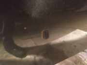 Waschwasserdüse Scheibenreinigung Subaru Forester, II 2002.06 - 2007.12 Gebraucht,