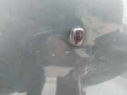 Waschwasserdüse Scheibenreinigung Mazda 626, 1991.08- 1997.04 Gebraucht,