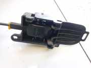 Türinnengriff - Hinten Rechts Nissan Note, 2006.03 - 2013.06 80670ax603, 5010700154