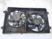 Kühlerlüfter Lüftermotor Ford Galaxy, Mk I 2000.04 - 2006.04 facelift 7M3121203,7M3121203 Y M21 8A 247 CA YM218A247CA 0130303881