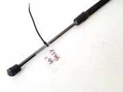 Gasdruckfeder Kofferraum Volkswagen Passat, B6 2005.08 - 2010.11 6593vh, BKP