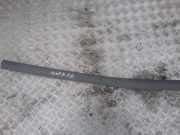 Zierleiste Tür Zier-Schutzleiste - Vorne Rechts Ford Transit Connect 2002.06 - 2008.12 3t16v20938a,