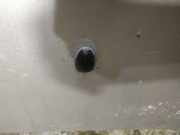 Waschwasserdüse Scheibenreinigung Nissan X-Trail, 2001.06 - 2007.06 Gebraucht,