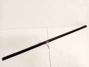 Zierleiste Leiste - Hinten Linke Renault Scenic, II 2006.06 - 2009.02 facelift Gebraucht,