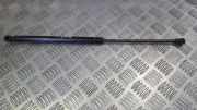 Gasdruckfeder Kofferraum Chevrolet Lacetti, 2004.01 - 2011.12 96548931,