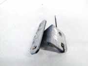 T?rscharnier Vorne Renault Laguna, I 1994.01 - 2001.03 Gebraucht,