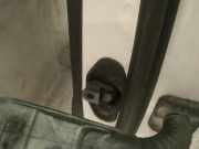 Türfangband Türbremse Türstopper - Hinten Linke Opel Insignia A, 2013.01 - 2017.06 facelift Gebraucht,